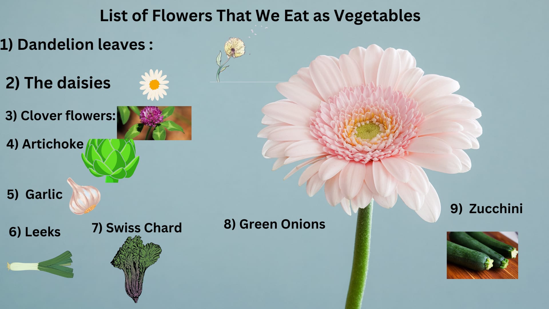 Explain About List of Flowers That We Eat as Vegetables 