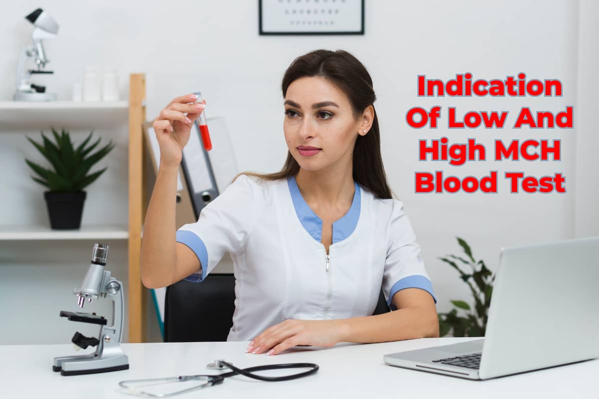 Indication Of Low And High MCH Blood Test